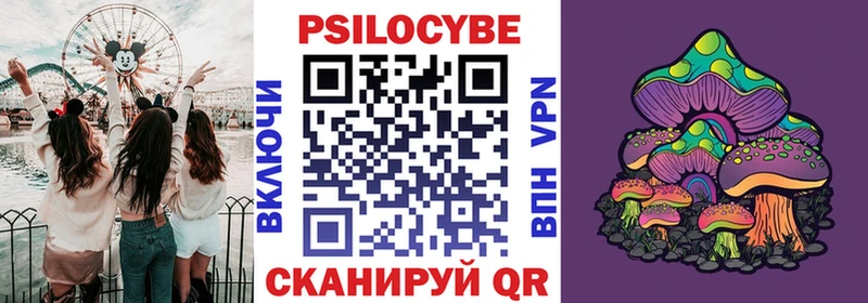 Купить где  Яблоновский  Псилоцибиновые грибы GOLDEN TEACHER